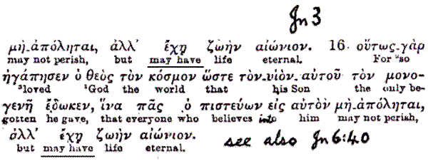 John3:15 + 16  taken from the George Ricker Berry's Greek to English Interlinear New Testament
